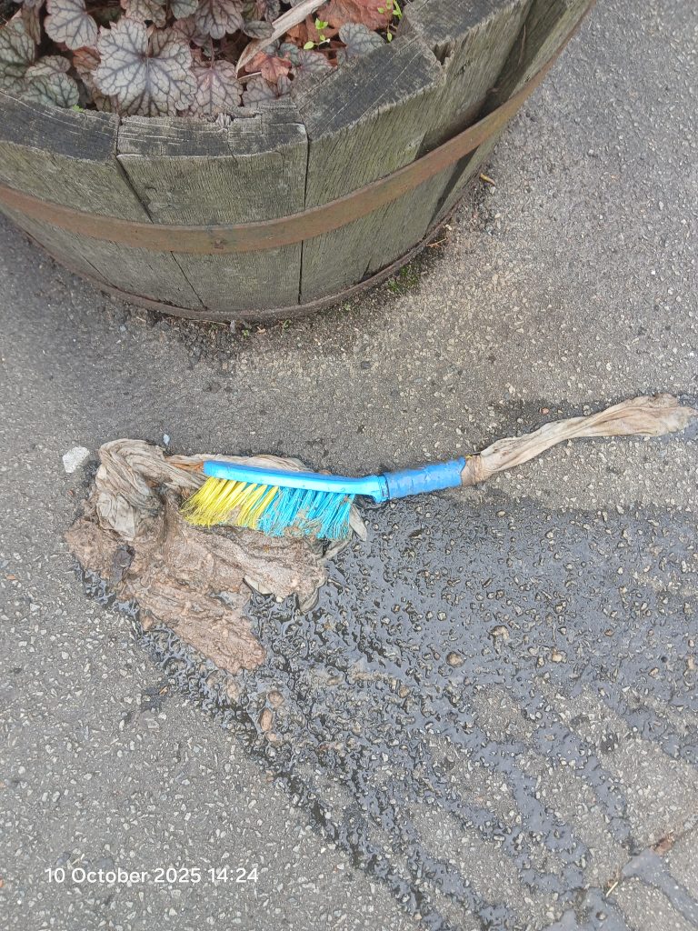 South West Water workers discovered bizarre items including a toy car, dog bowl, traffic cone, trolley wheel and football in sewers using new AI-assisted CCTV footage analysis.