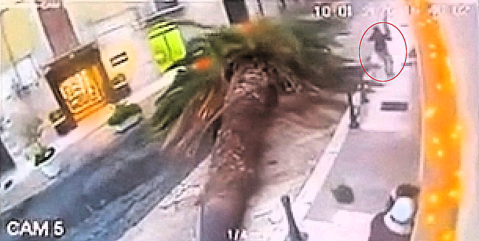 Falling palm tree crushes moving car in Trani, Italy, narrowly missing pedestrian - two people suffer minor injuries, tree was scheduled for removal just weeks later.