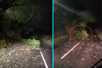 Ambulance worker moves fallen trees with bare hands during Storm Goretti - Catie Turner Kent clears three blocked roads with other drivers on way home to Newquay.