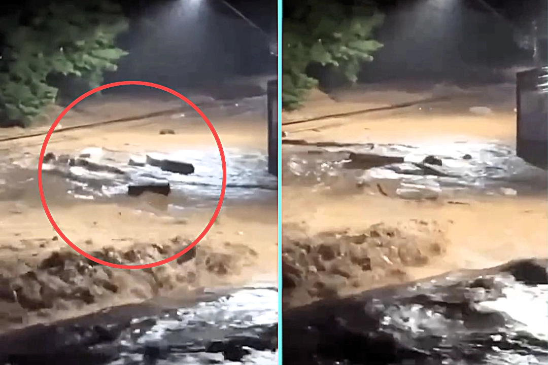 Dozens of coffins spotted floating down flooded streets after funeral home inundated by flash floods in Brazil - at least 29 killed across Minas Gerais as storms batter region.