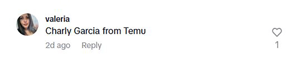 Social media comment on the post of Dad knocks himself out diving head-first into shallow pool while imitating rock star Charly Garcia. Floats unconscious as family thinks he's joking. Viral videos get 4.2m views.