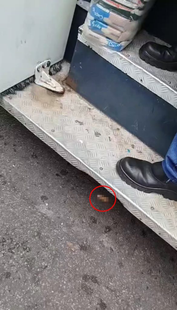 A driver lost a finger after opening his car door into the side of a passing bus in Brazil - with disturbing CCTV footage capturing the shocking moment and its grim aftermath on the roadside.