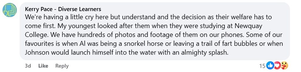 Social media comment on the post of A zoo made the heartbreaking decision to put two inseparable animal friends to sleep on the same day - so neither would have to face life without the other.