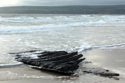 Storms have exposed a section of a 400-year-old Dutch shipwreck on a Dorset beach - and excited experts believe it could be the armed merchant vessel the Fame, which sank in 1631.
