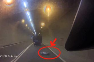 Live pigs tumble from speeding truck in Taiwan motorway tunnel as drivers swerve. Farmer Lin fined £210 for hiring unlicensed driver. Animals safe.