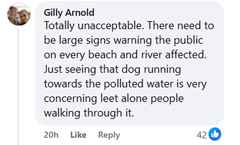 Social media comment on the post of MP Ben Maguire fumes as raw sewage pours onto Widemouth Bay beach in Bude during half-term. Children seen playing metres from brown discharge. Video watched 245,000 times.