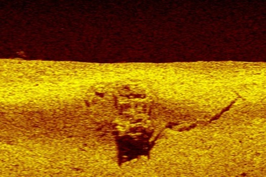 Remains of mum Mary Lou Combs found inside submerged car more than 20 years after she vanished in Florida - she disappeared in 2003 after leaving her home and three children.