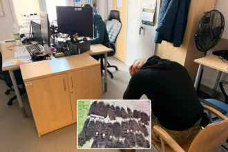 Shaven-headed thief arrested for stealing £163,000 of natural hair from Warsaw salon. The 29-year-old broke through window then bizarrely destroyed some bundles.