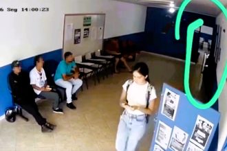 A 23-year-old psychology student was allegedly murdered by a convicted rapist on temporary release from prison - after she vanished while making her way home from work in Brazil.