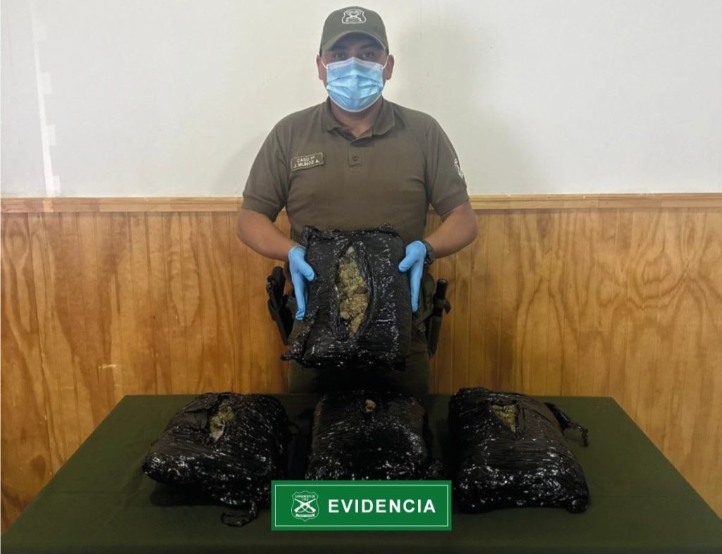 Police seize cannabis hidden inside a coffin after stopping a lorry carrying 23 caskets in Chile - three suspected drug traffickers arrested during routine roadside checks.