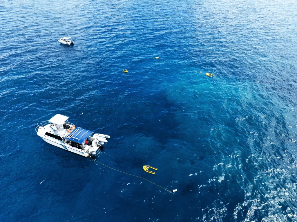 World's largest coral reef colony discovered on the Great Barrier Reef by mother-daughter diving duo - stretching the length of a football field, it dwarfs all previous records.