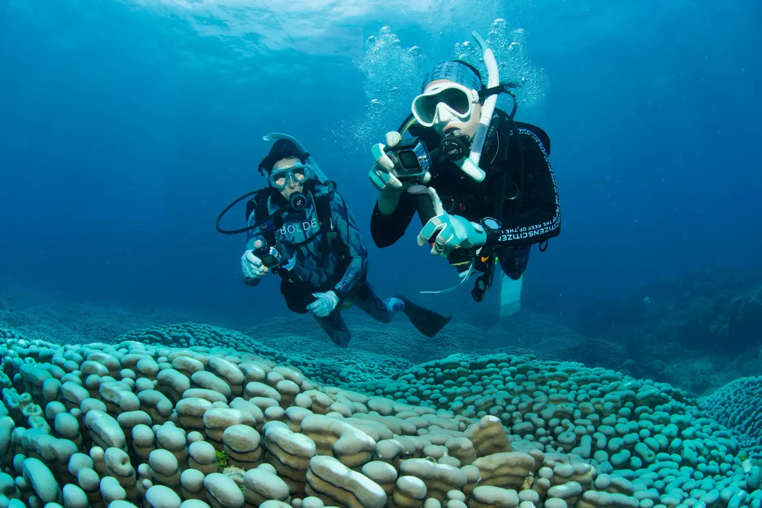 World's largest coral reef colony discovered on the Great Barrier Reef by mother-daughter diving duo - stretching the length of a football field, it dwarfs all previous records.