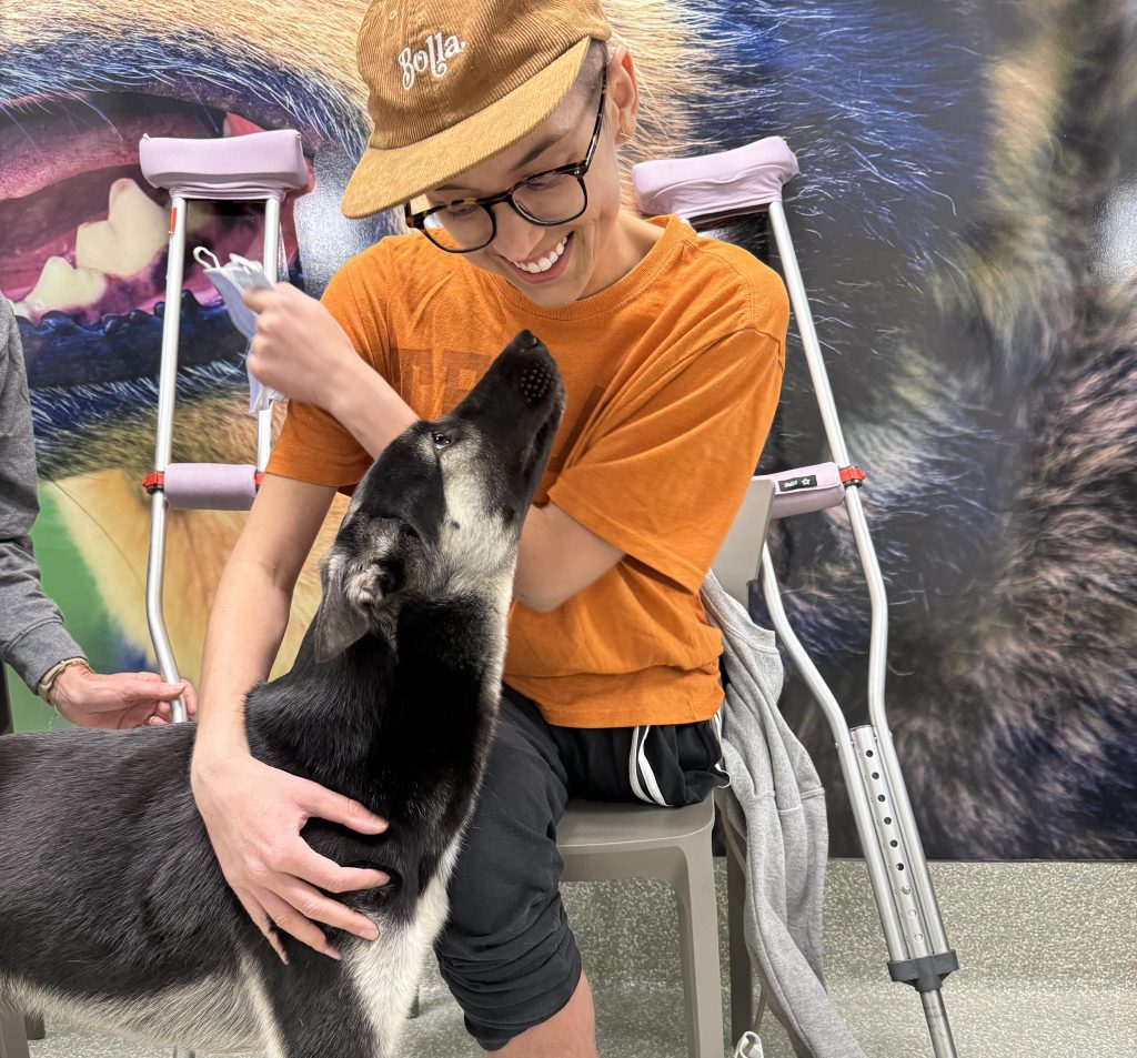 Woman, 30, told to stretch leg for pain ends up needing rarest amputation in world after bone cancer diagnosis. Courtney Echerd had leg and part of pelvis removed.