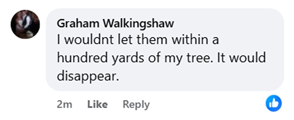 Thieves spark outrage after bringing a young boy along during a daylight fuel raid, stealing supplies from a Dorset petrol station in a brazen and shocking incident.
