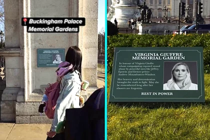 Activists from Everyone Hates Elon placed memorial plaques for Virginia Giuffre outside Buckingham Palace honouring her fight against Jeffrey Epstein and Prince Andrew.