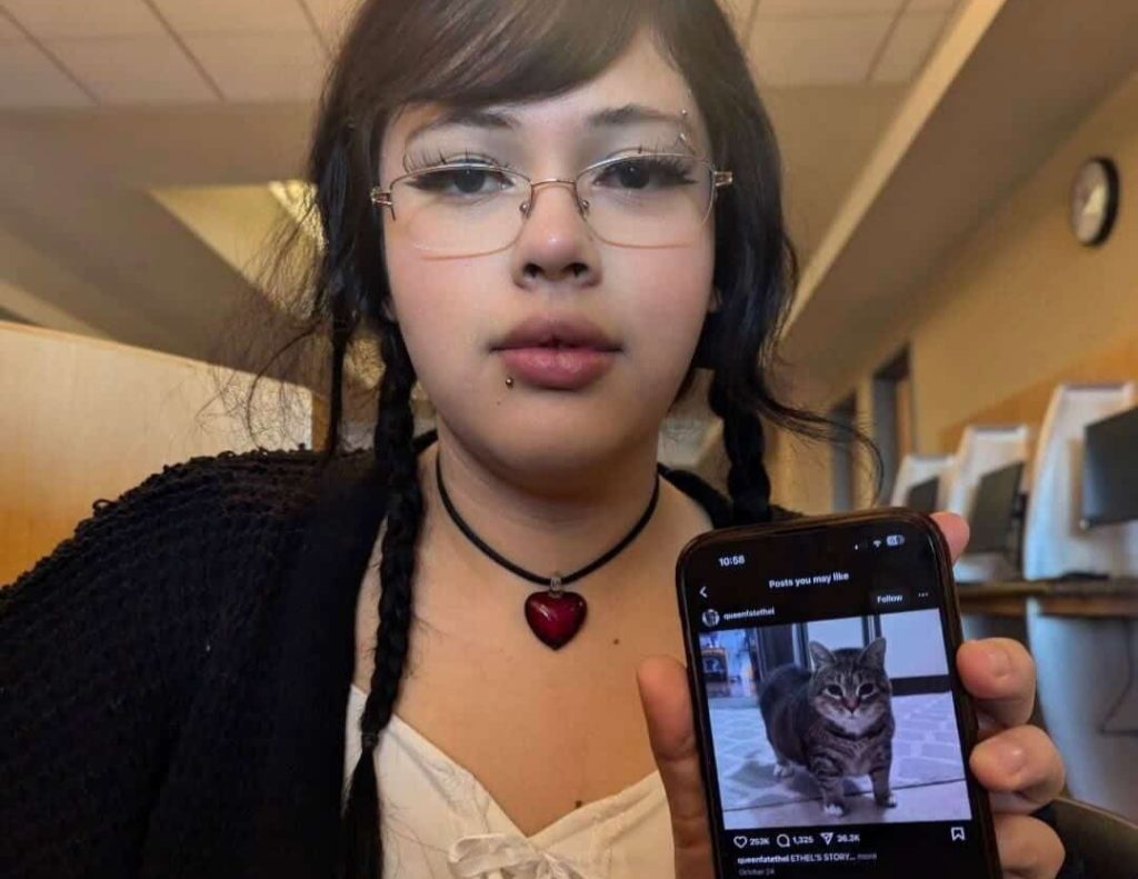 A sleeping cat owner nearly lost an eye after her pet maimed her face in the dead of night - but she still loves him and refuses to blame him for the freak accident.