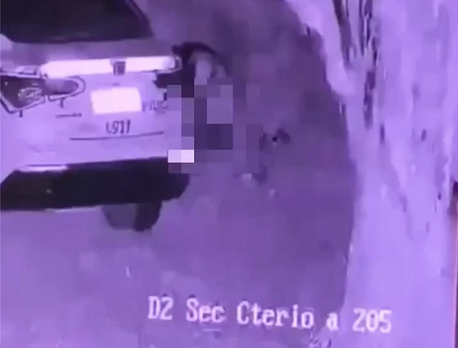 A 22-year-old police officer was sacked after being caught on a golf club security camera romping with a woman next to his patrol car while on duty in Argentina.