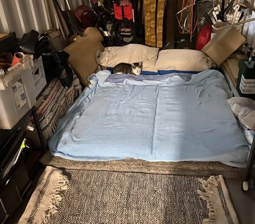 An elderly couple lost everything after a raging river ripped through their Maui home and swept it away - shocking footage of the collapse has racked up over 2.2m views.