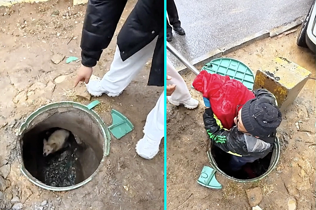A dog has been rescued after spending three years trapped at the bottom of a deep underground shaft in China - surviving only because locals lowered food down to keep it alive.