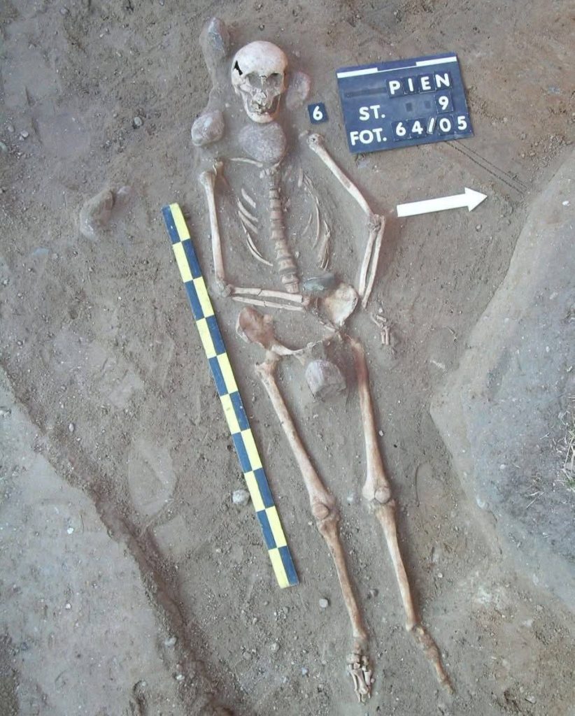 Archaeologists uncover dozens of unusual 17th-century burials in Poland - including bodies with sickles on their necks and padlocks on their feet to stop the dead rising.