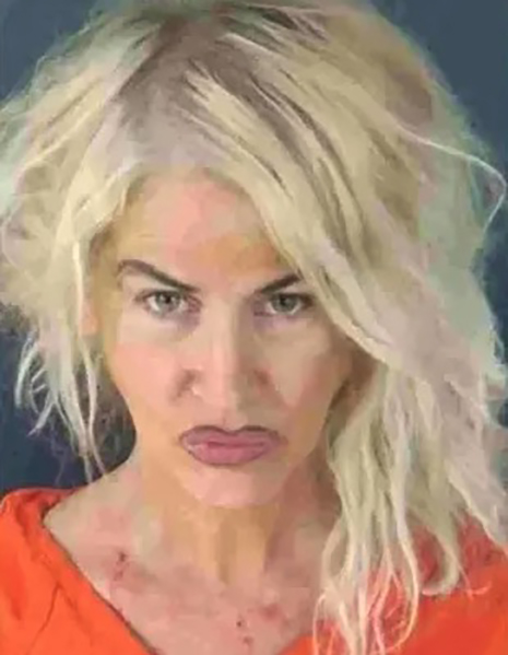 A grandmother stabbed her 76-year-old roommate to death after an argument, covered his body with a tarp and fled in his truck before being tracked down and arrested in Florida.