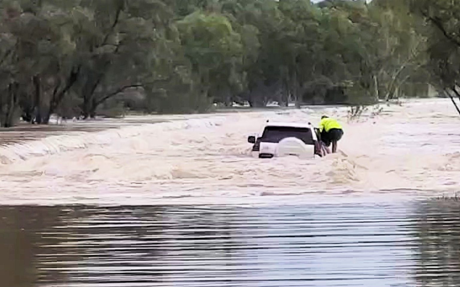 A heroic police officer was winched onto a stranded car roof in raging floodwaters to rescue a trapped German shepherd - before battling to get the dog into a helicopter.