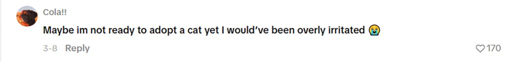 Social media comment on the post of A sleeping cat owner nearly lost an eye after her pet maimed her face in the dead of night - but she still loves him and refuses to blame him for the freak accident.