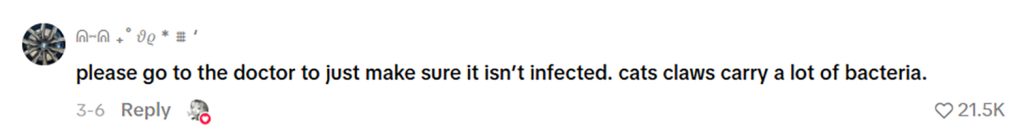 Social media comment on the post of A sleeping cat owner nearly lost an eye after her pet maimed her face in the dead of night - but she still loves him and refuses to blame him for the freak accident.