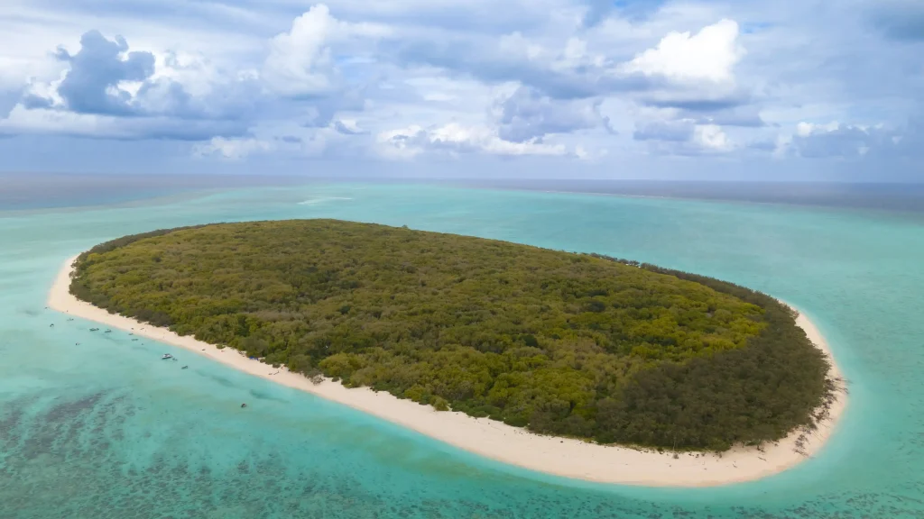 Killer black rats that feast on vulnerable bird eggs and turtle hatchlings have been wiped out from a paradise island on the Great Barrier Reef after an 18-month battle.