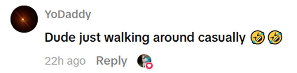 Social media comment on the post of Van driver demolishes traffic lights in Hayes then casually walks off as police arrive - stunned witnesses film him stumbling away telling him to run from the scene.