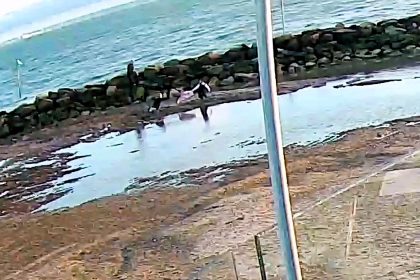 A mum and daughter were dramatically rescued from waist-deep sand at a lagoon in Southend-on-Sea - the council has now closed the site while safety work is carried out.