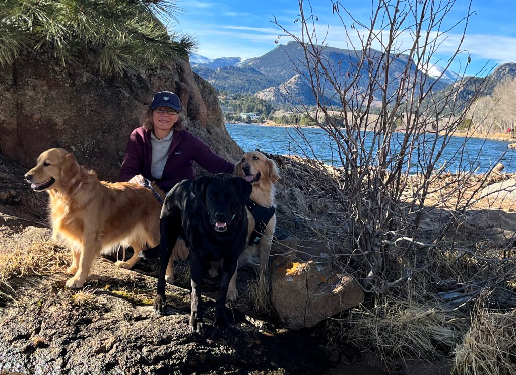 A family in Colorado is terrified after their dogs were repeatedly poisoned by methamphetamine-laced hot dogs thrown into their garden - and now they feel forced to move.