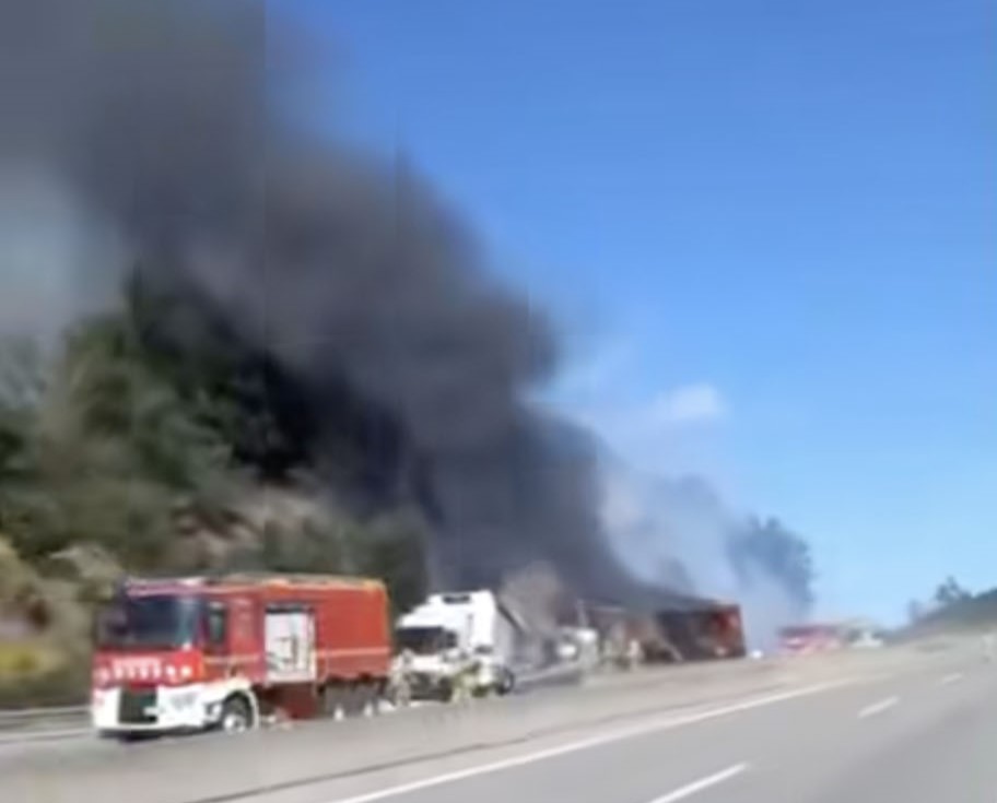 Newlywed trucking couple Ionut and Madalina Tudorache were burned alive after their lorry struck a broken-down HGV in Spain just months after getting married.