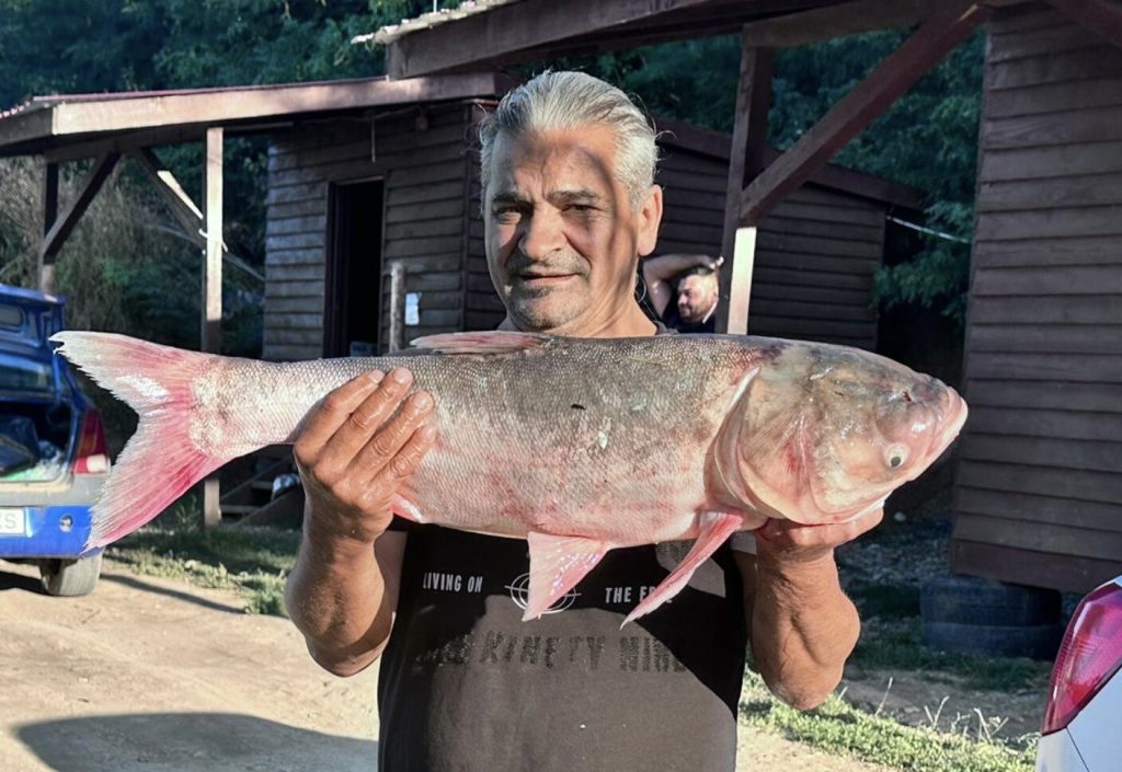 Convicted serial killer Marius Csampar who was jailed for 99 years for six murders now has 160,000 TikTok followers after reinventing himself as a social media influencer.