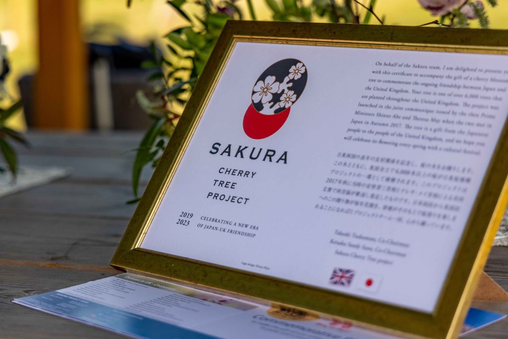 Three cherry trees gifted by Japan to celebrate friendship with the UK stolen from a Bristol park - along with their stakes, guards and even the explanatory sign.