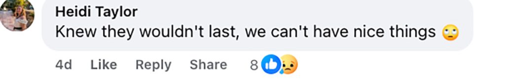 Social media comment on the post of Three cherry trees gifted by Japan to celebrate friendship with the UK stolen from a Bristol park - along with their stakes, guards and even the explanatory sign.