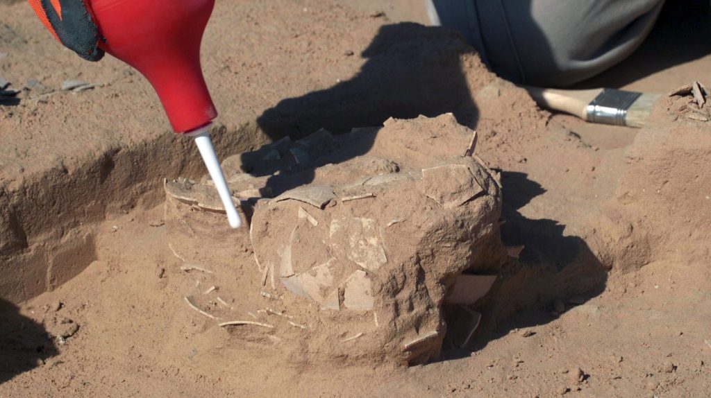Eight ostrich eggs up to 7,500 years old have been found buried beneath sand dunes in Israel near an ancient campfire - revealing how desert nomads once lived and ate.