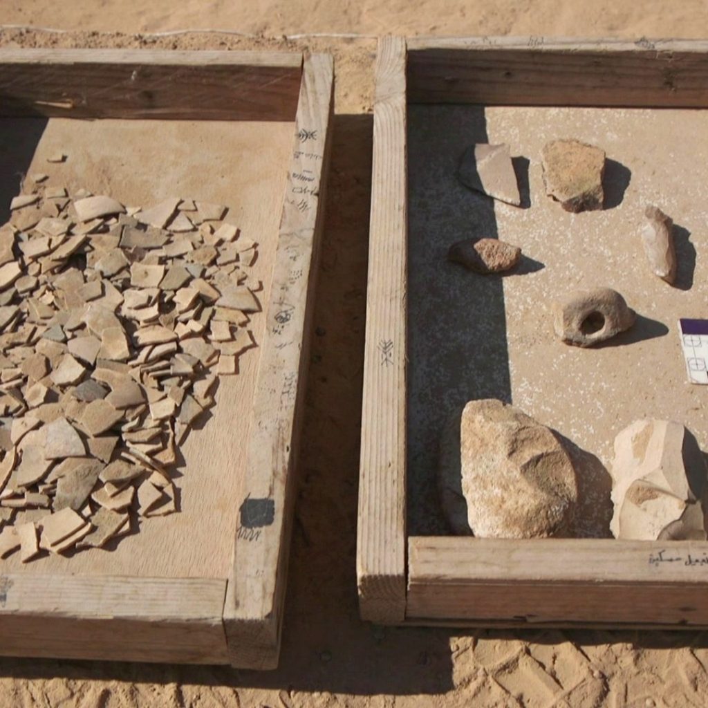 Eight ostrich eggs up to 7,500 years old have been found buried beneath sand dunes in Israel near an ancient campfire - revealing how desert nomads once lived and ate.