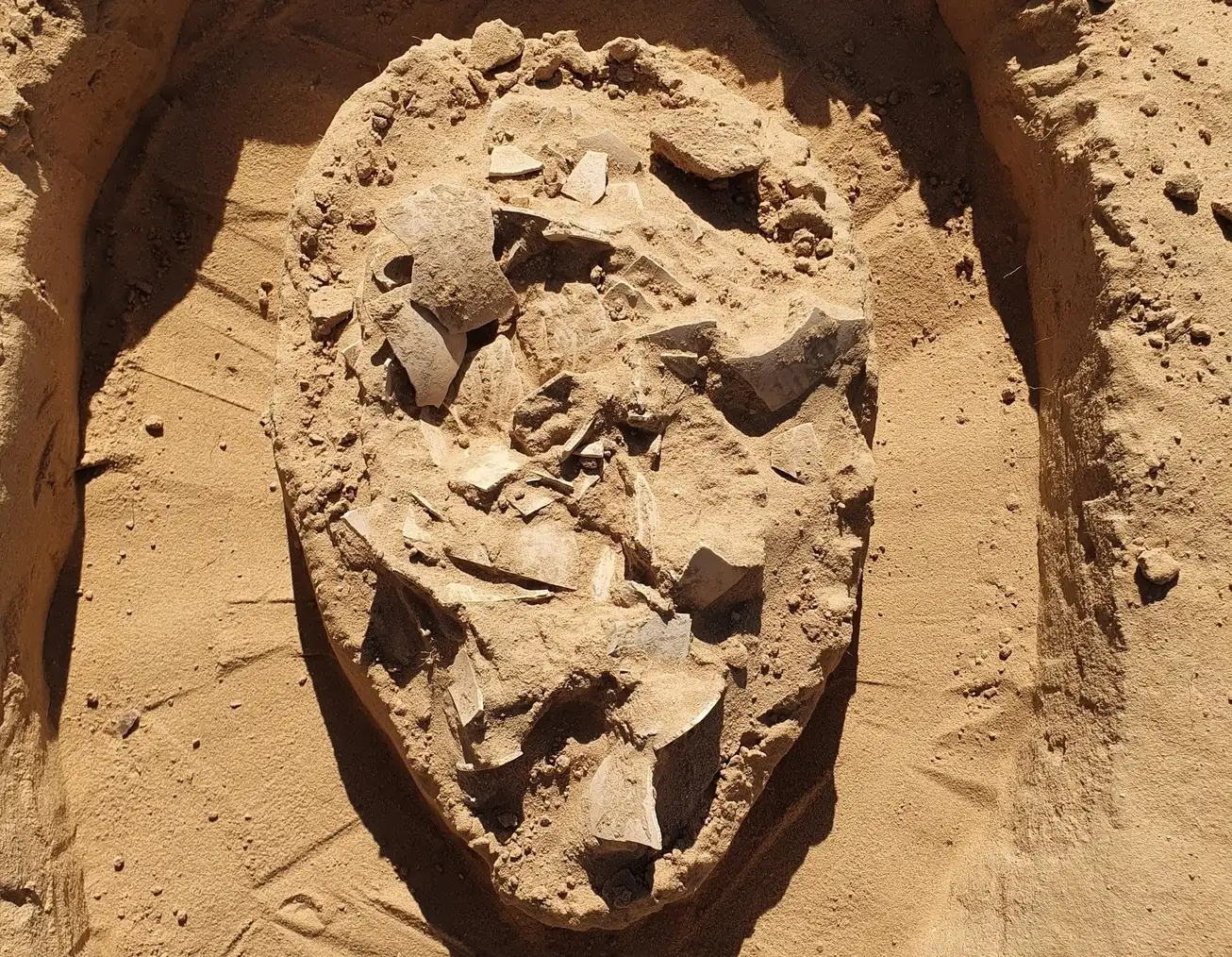 Eight ostrich eggs up to 7,500 years old have been found buried beneath sand dunes in Israel near an ancient campfire - revealing how desert nomads once lived and ate.