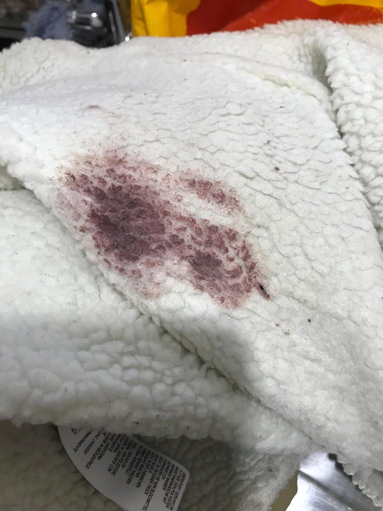 Retired probation officer Martin Dandridge was brutally beaten with a hockey stick by racehorse trainer Evan Williams while walking his dog - leaving him with PTSD and a broken arm.