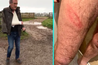 Retired probation officer Martin Dandridge was brutally beaten with a hockey stick by racehorse trainer Evan Williams while walking his dog - leaving him with PTSD and a broken arm.