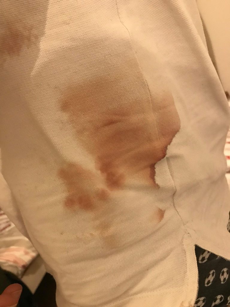 Retired probation officer Martin Dandridge was brutally beaten with a hockey stick by racehorse trainer Evan Williams while walking his dog - leaving him with PTSD and a broken arm.