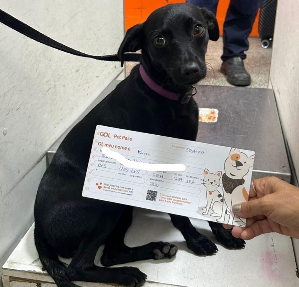 A runaway dog caused chaos at a major Brazilian airport after escaping its crate and darting onto the runway - sparking a hilarious chase that halted operations for nine minutes.