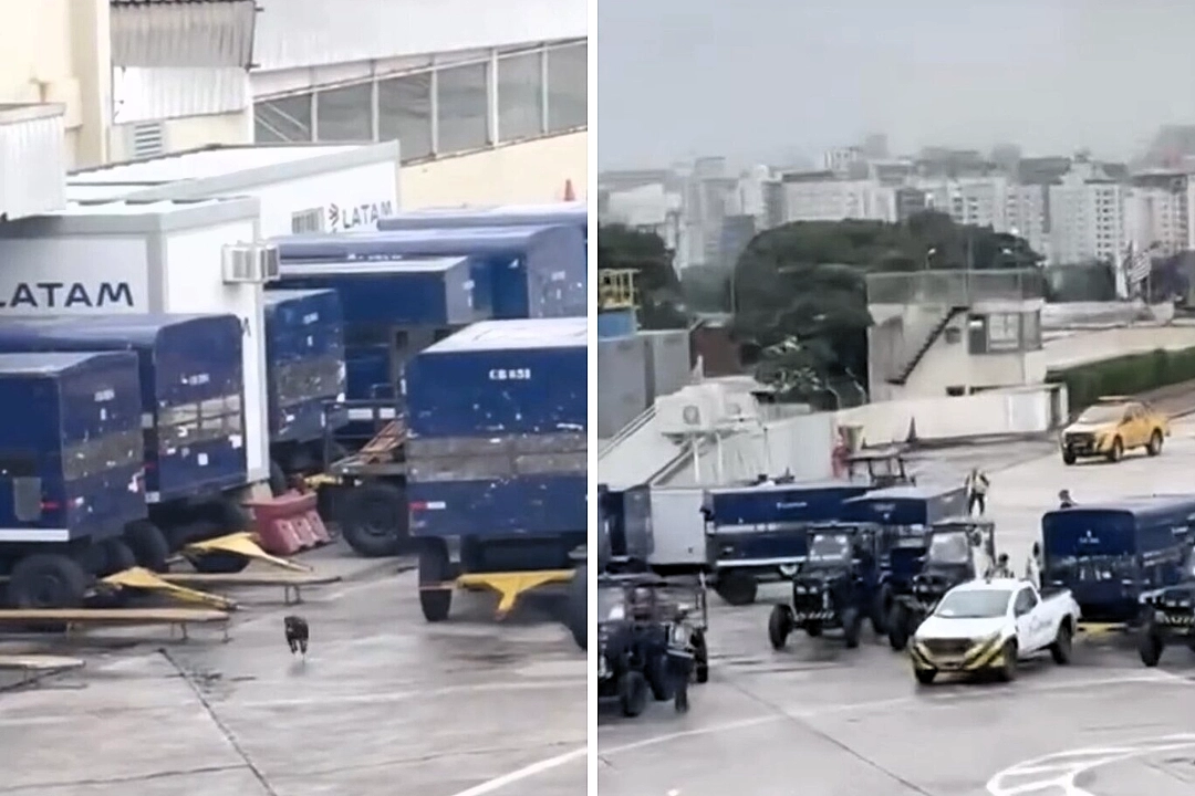 A runaway dog caused chaos at a major Brazilian airport after escaping its crate and darting onto the runway - sparking a hilarious chase that halted operations for nine minutes.