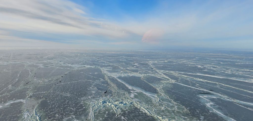 Two stranded tourists spelled SOS with ice blocks after their floe broke apart in the Baltic Sea, surviving hours adrift before a dramatic cross-border rescue saved them.