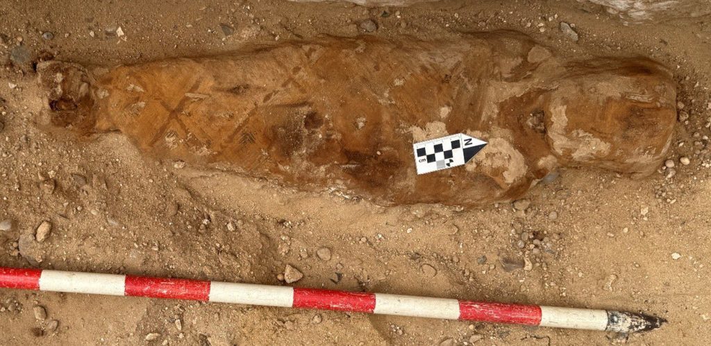 Archaeologists have discovered an ancient mummy with a passage from Homer's Iliad hidden inside its abdomen - a first in the history of Egyptian burial practices.