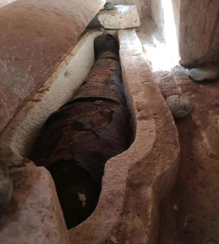 Archaeologists have discovered an ancient mummy with a passage from Homer's Iliad hidden inside its abdomen - a first in the history of Egyptian burial practices.