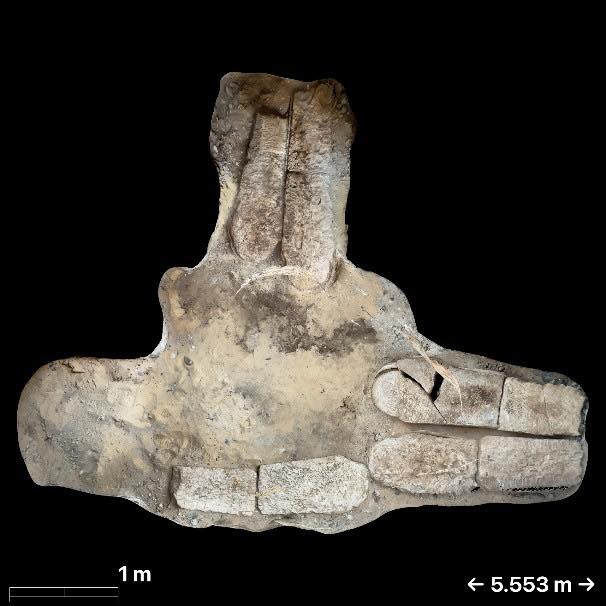 Archaeologists have discovered an ancient mummy with a passage from Homer's Iliad hidden inside its abdomen - a first in the history of Egyptian burial practices.