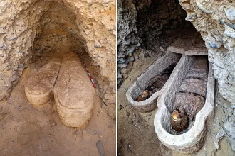 Archaeologists have discovered an ancient mummy with a passage from Homer's Iliad hidden inside its abdomen - a first in the history of Egyptian burial practices.