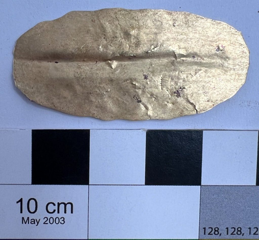 Archaeologists have discovered an ancient mummy with a passage from Homer's Iliad hidden inside its abdomen - a first in the history of Egyptian burial practices.